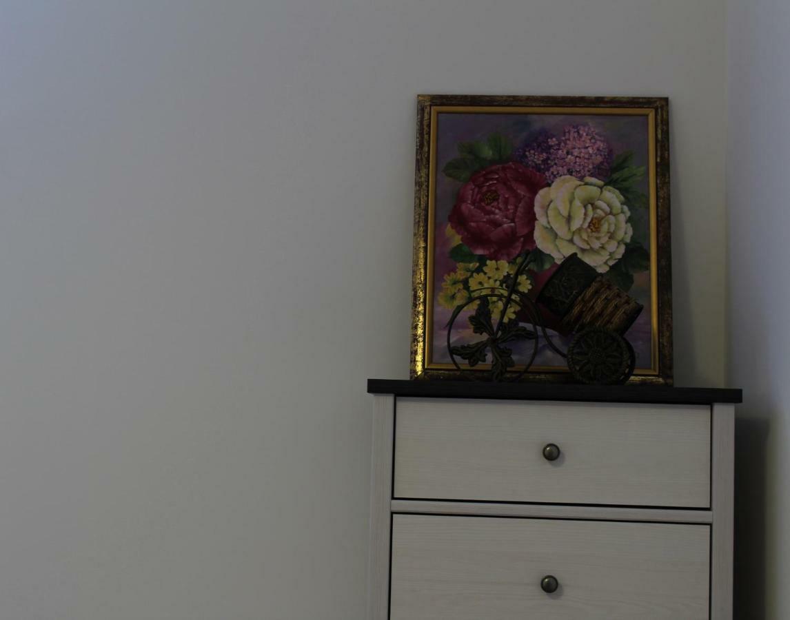 Apartman Robi Nova Vas  エクステリア 写真